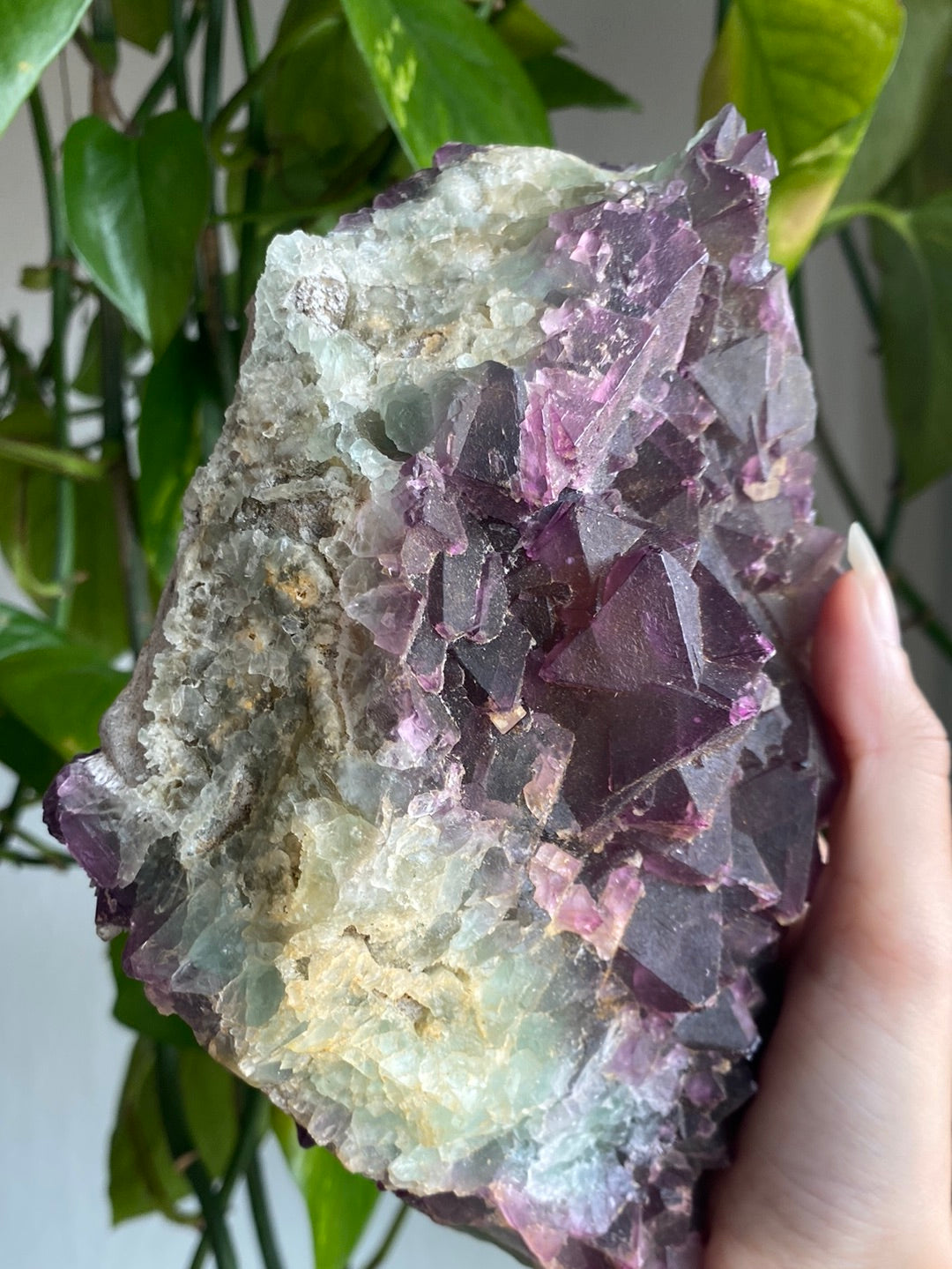 XL Unique Magenta/Green Cubic Fluorite Specimen