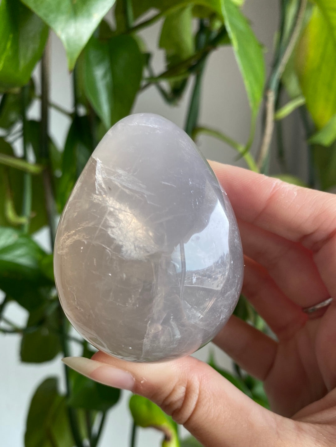 Blue Rose Quartz Egg (Intuitively Chosen)
