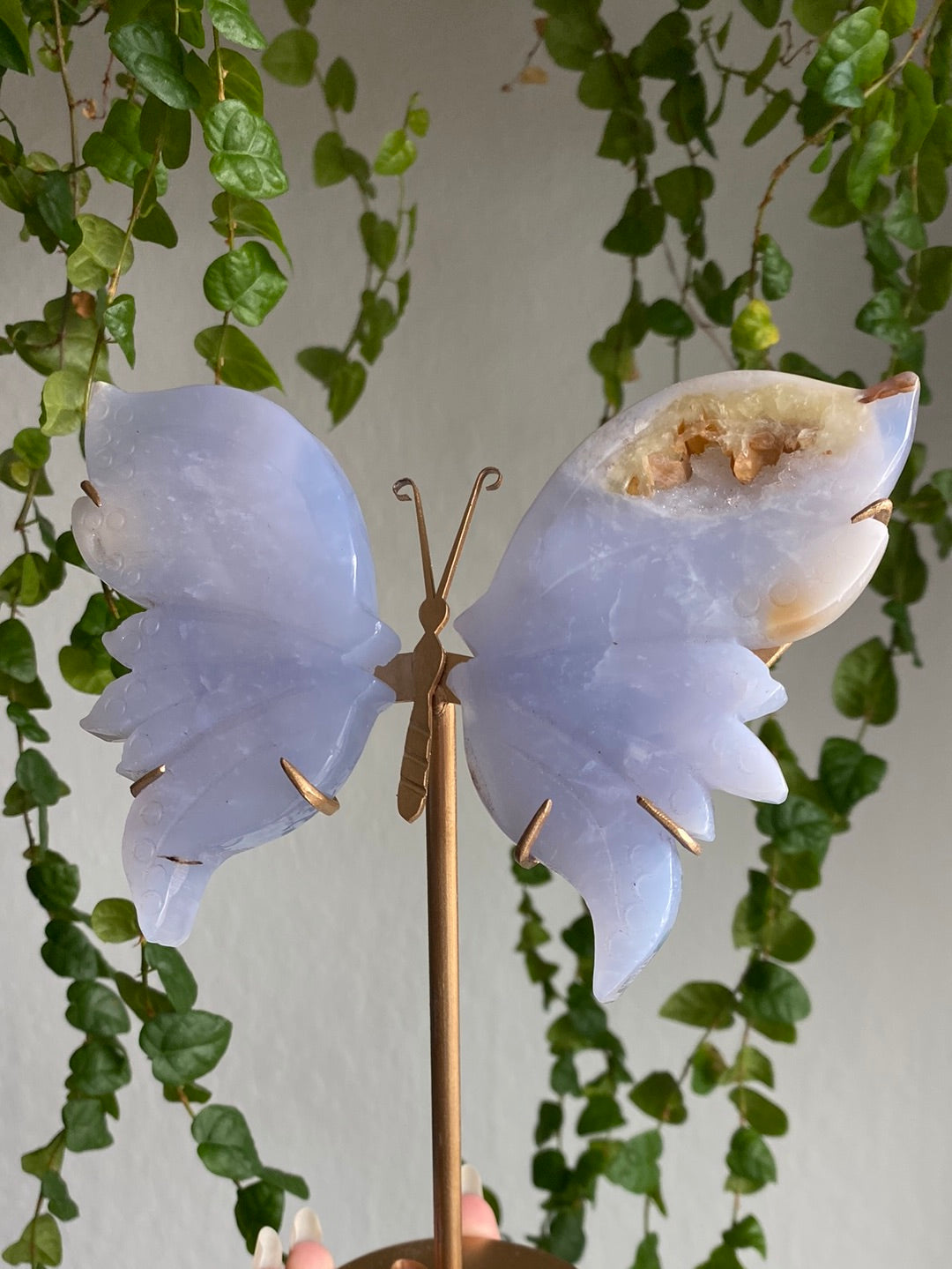 Druzy Blue Chalcedony Butterfly Stand