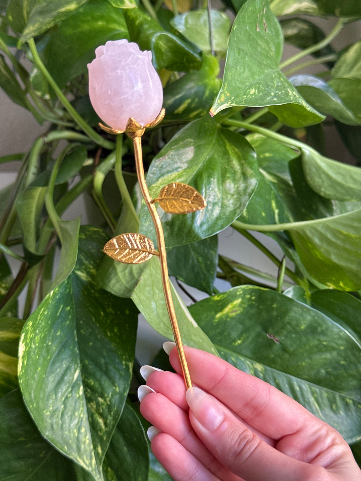 Rose Carving | You Pick