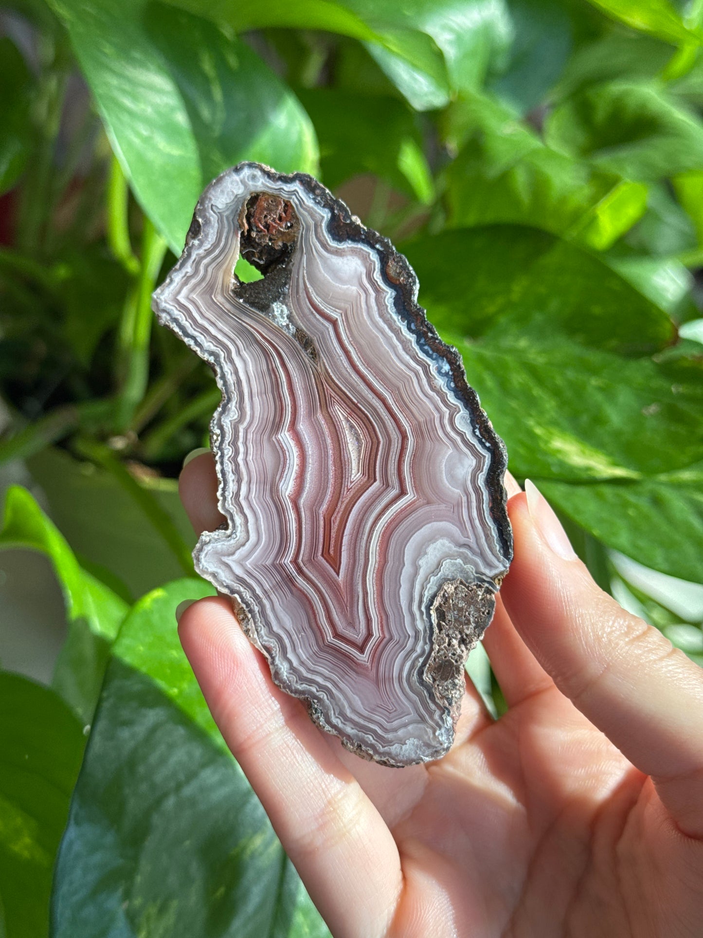 Pink Pastel Laguna Agate Statement Slab