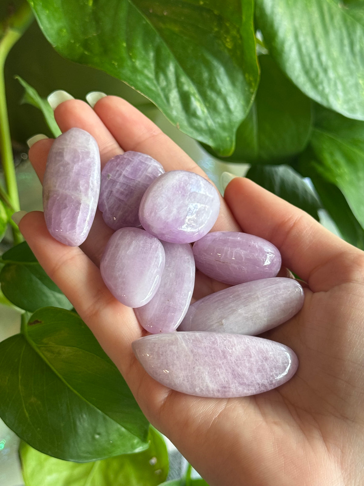 Large Chunky Kunzite Tumble