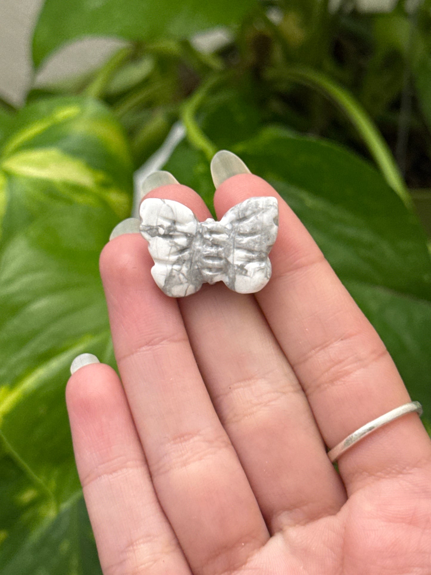 Howlite Butterfly