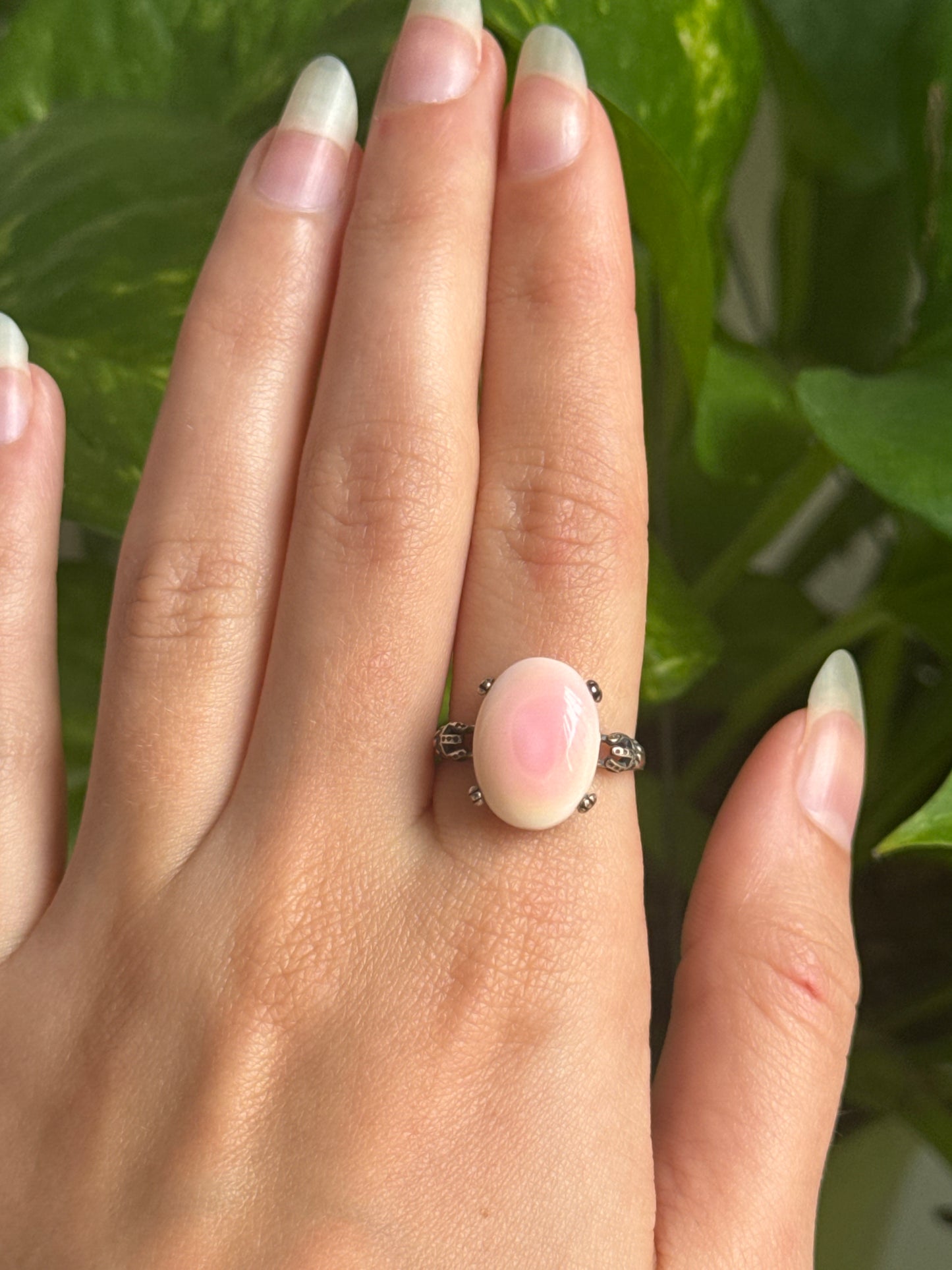 Queen Conch Shell 925 Sterling Silver Adjustable Ring