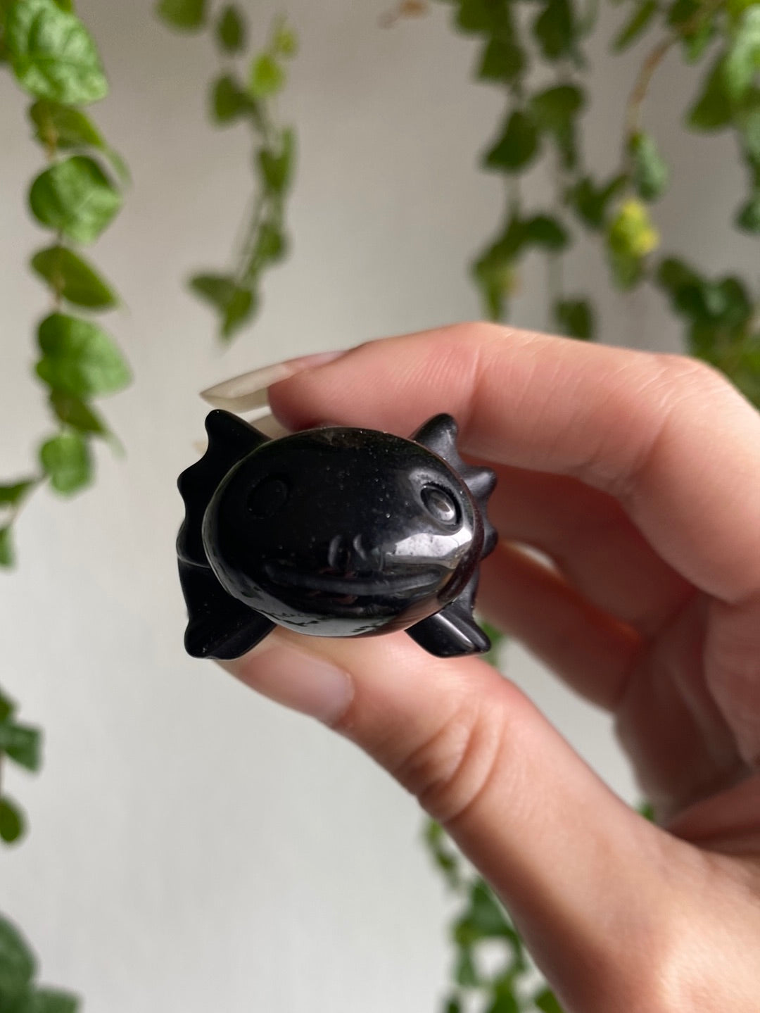Obsidian Axolotl