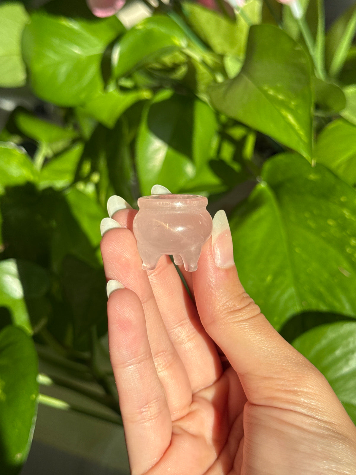 Gemmy Rose Quartz Cauldron Carving (with star flash)