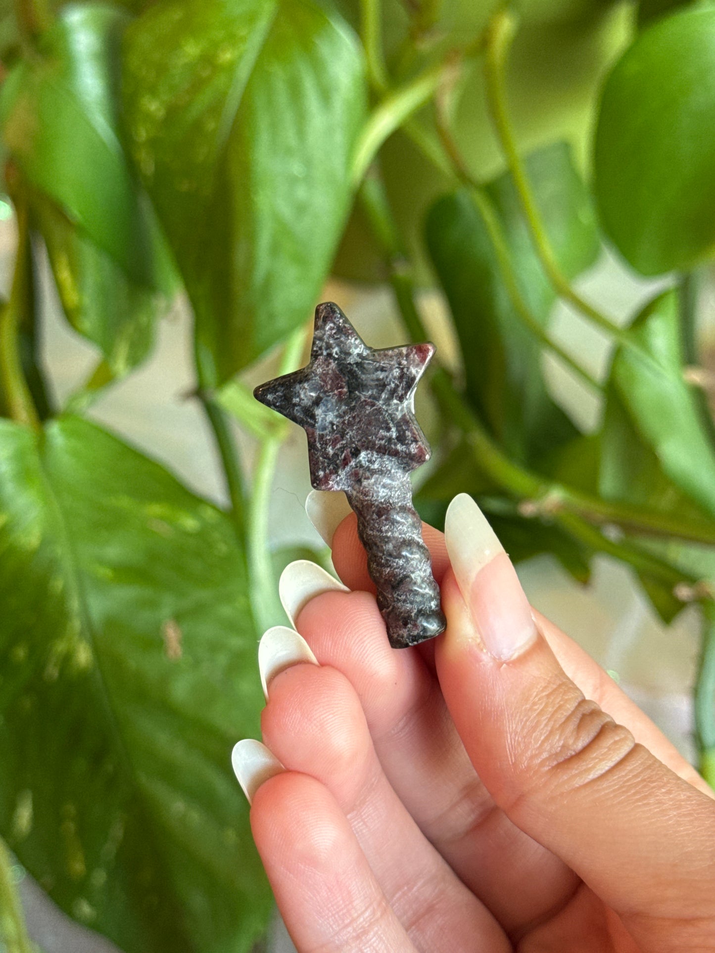 Garnet in Black Tourmaline Star Wand Carving