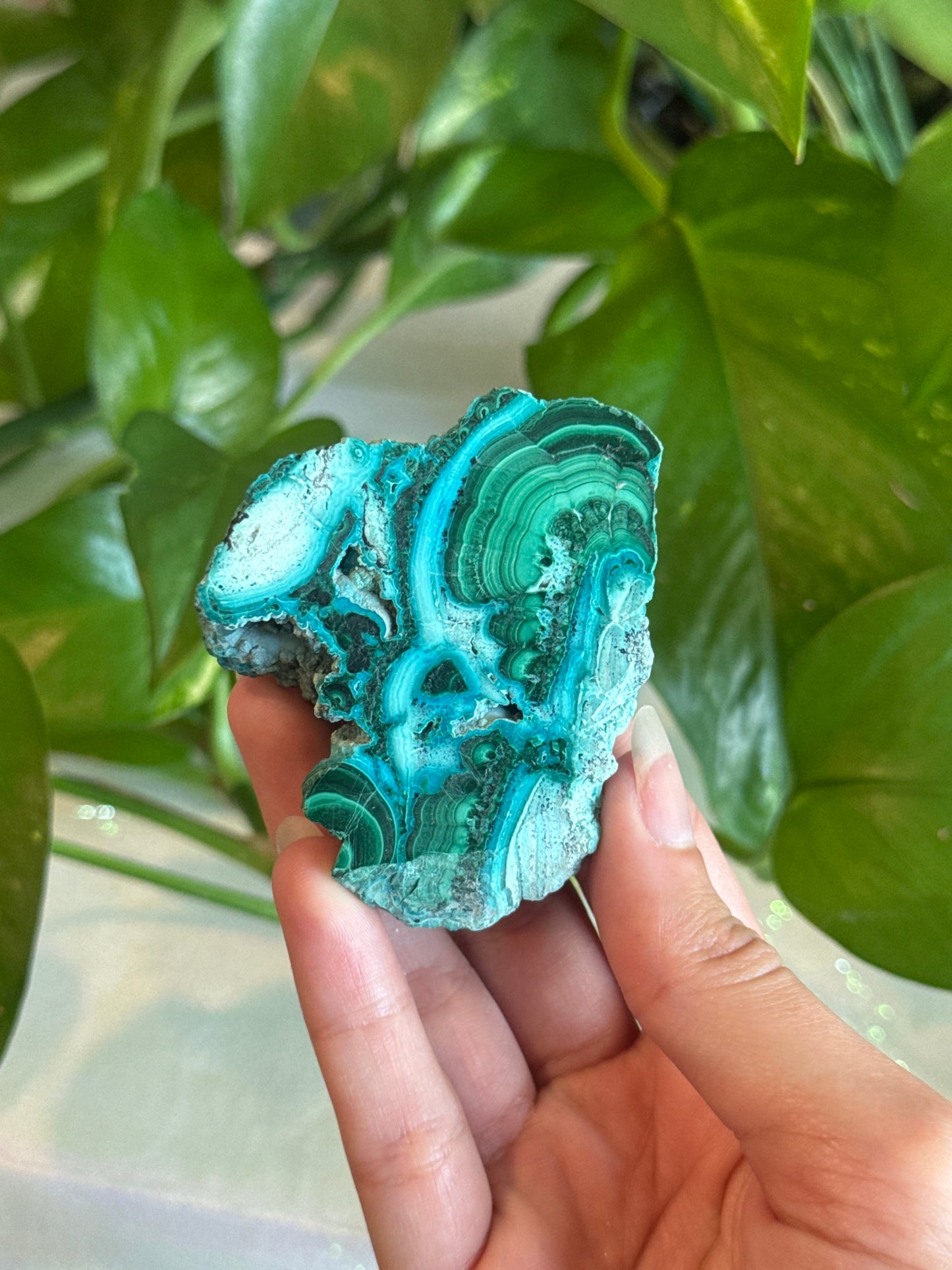 Malachite & Chrysocolla Unique Specimen Slab D