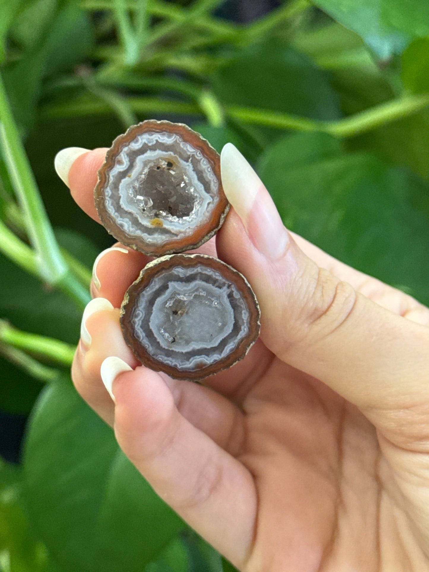 Zhanguo Agate Geode Pair B