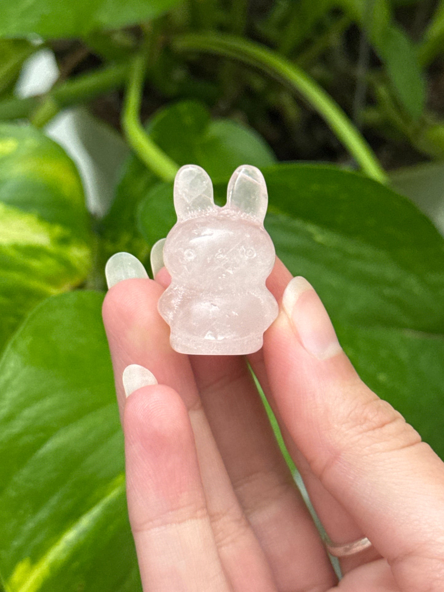 Miffy| You Pick Material