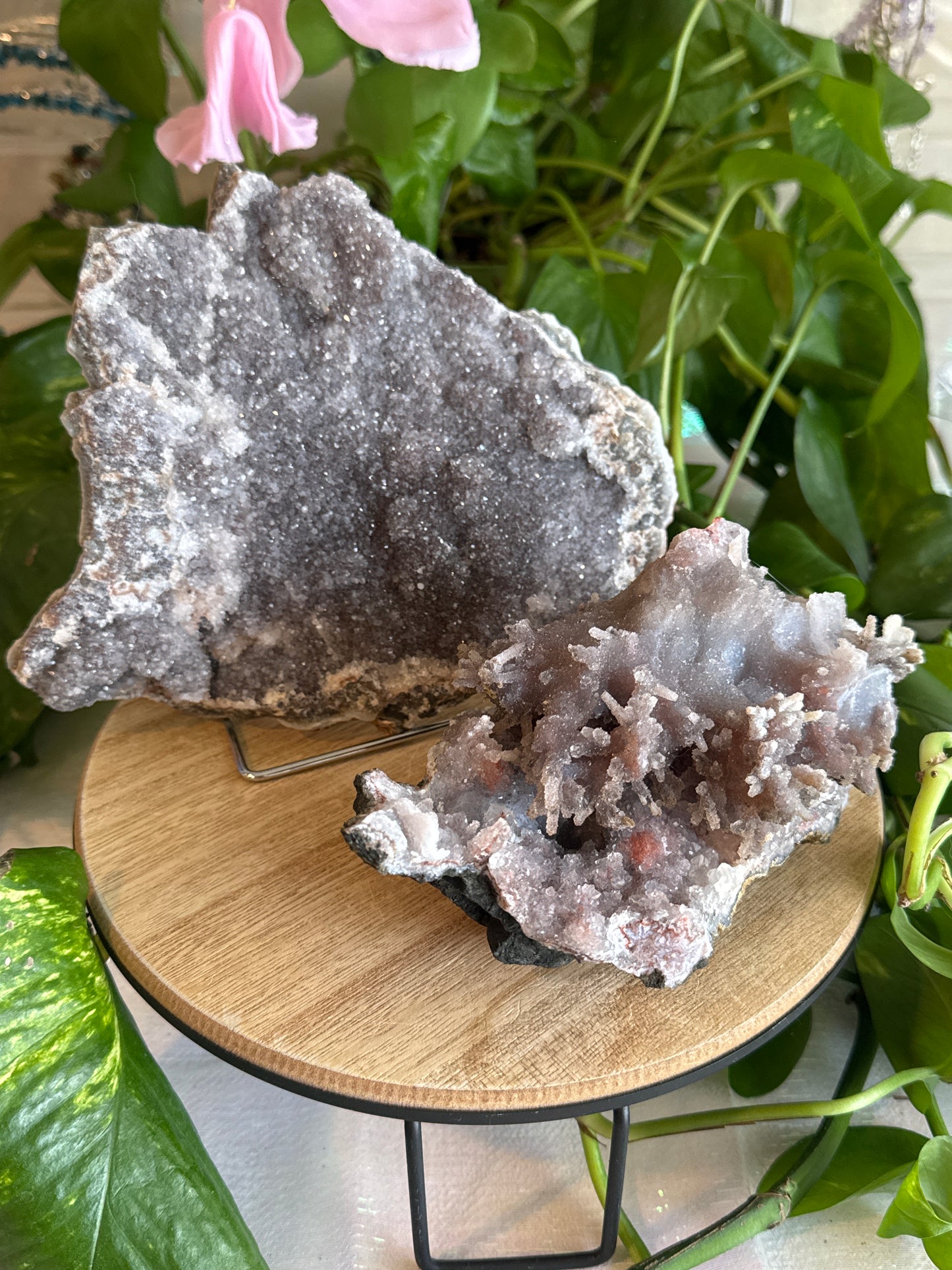 nicol_gomez listing (hold)