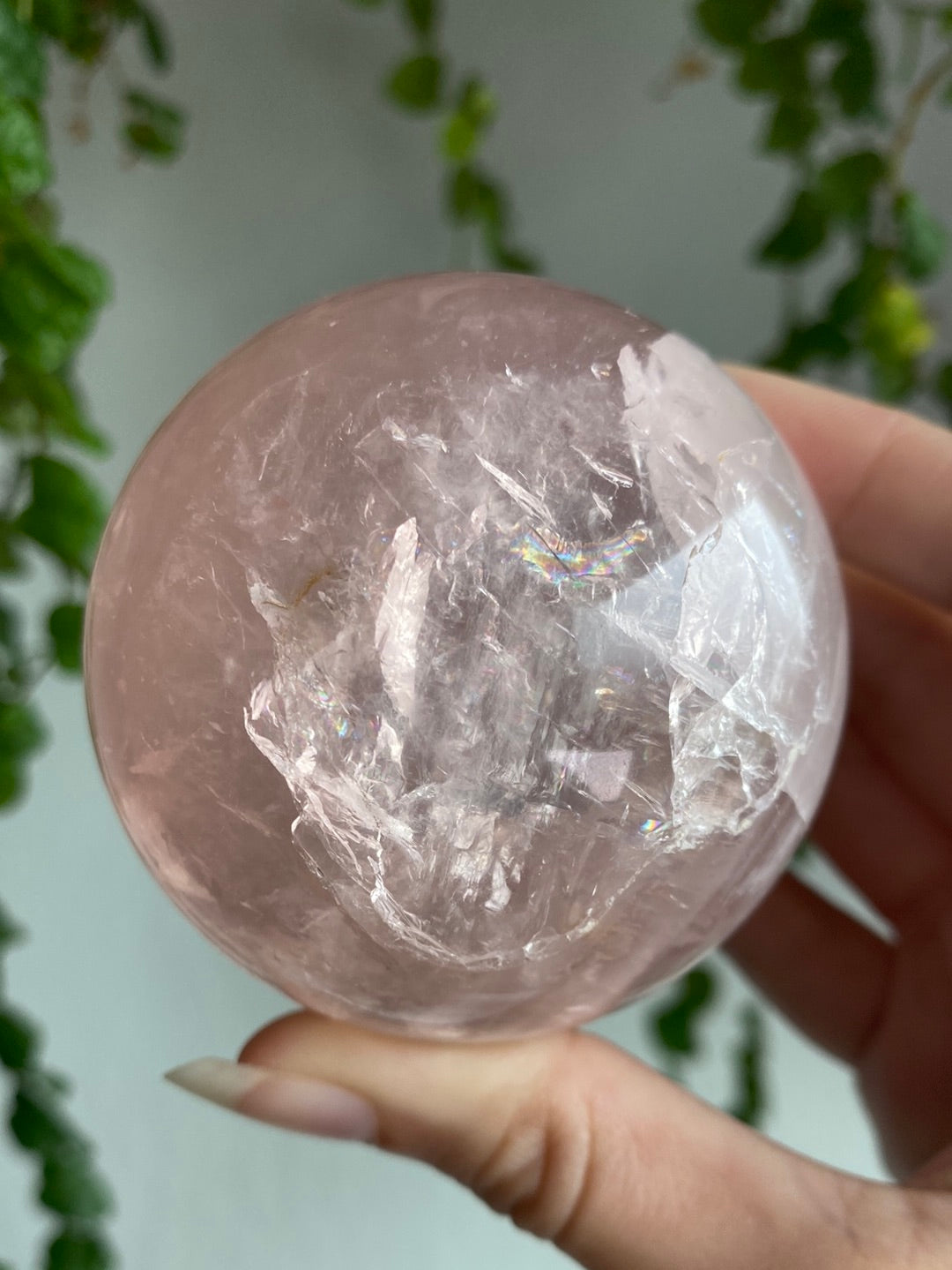 High Quality Brazilian Star Flash Rose Quartz Sphere A