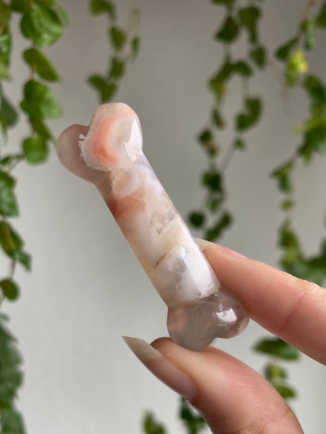 Flower Agate Bone | You Pick