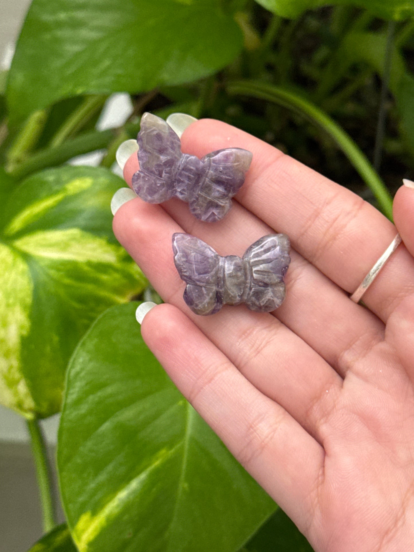 Amethyst Butterfly