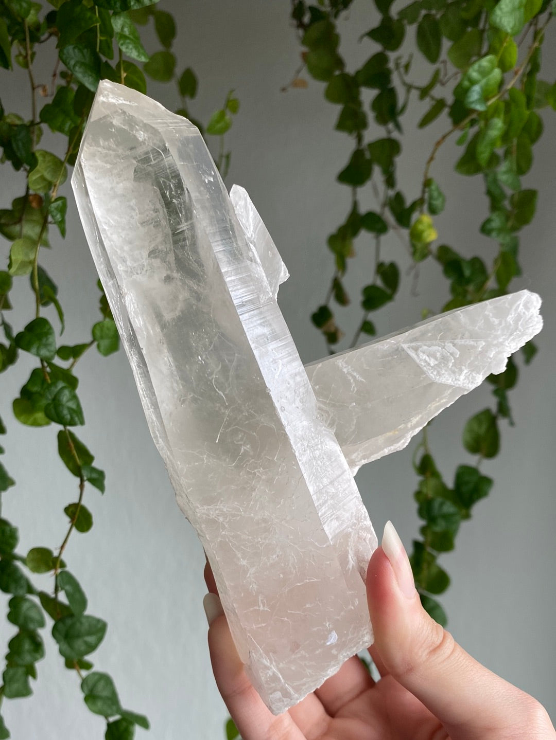 Raw Lemurian Points | You Pick