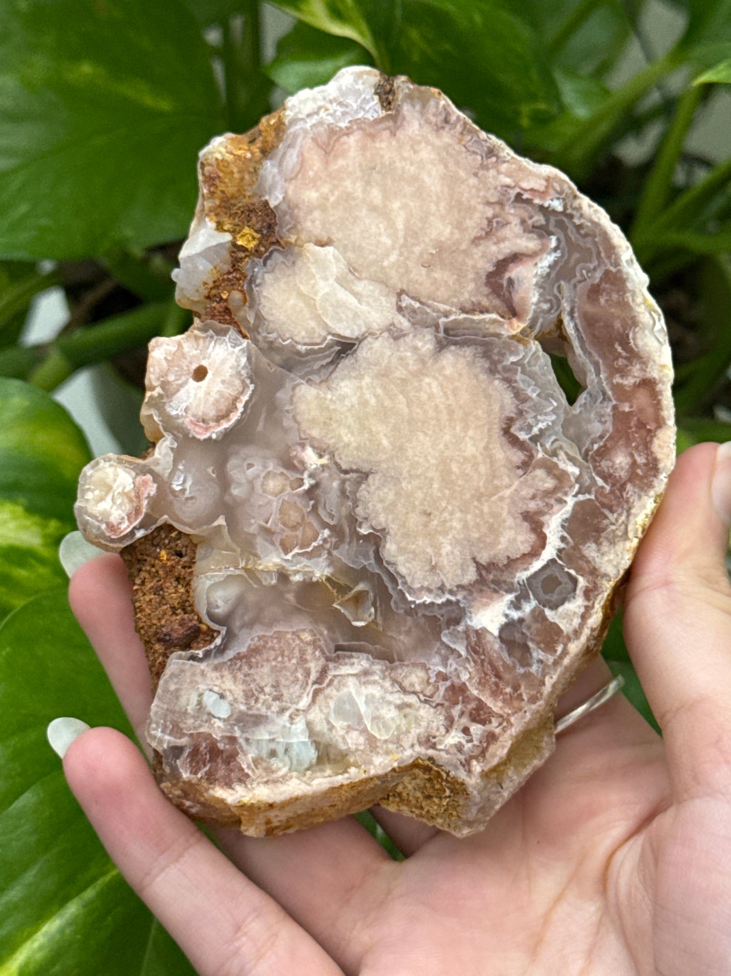 Flower Agate Bubble Druzy Slab