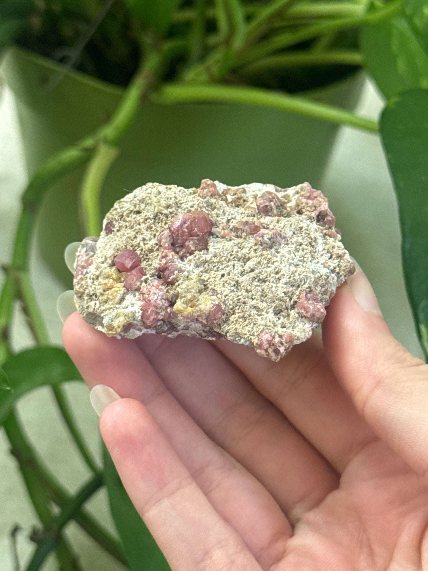 Pink Tourmaline on Matrix Specimen