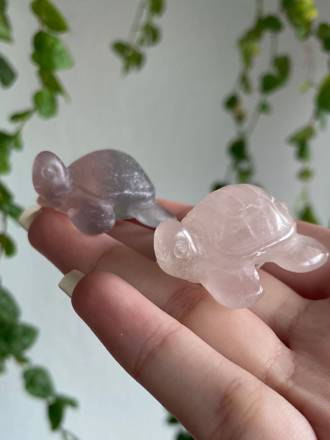 Turtle Carving | You Pick Material