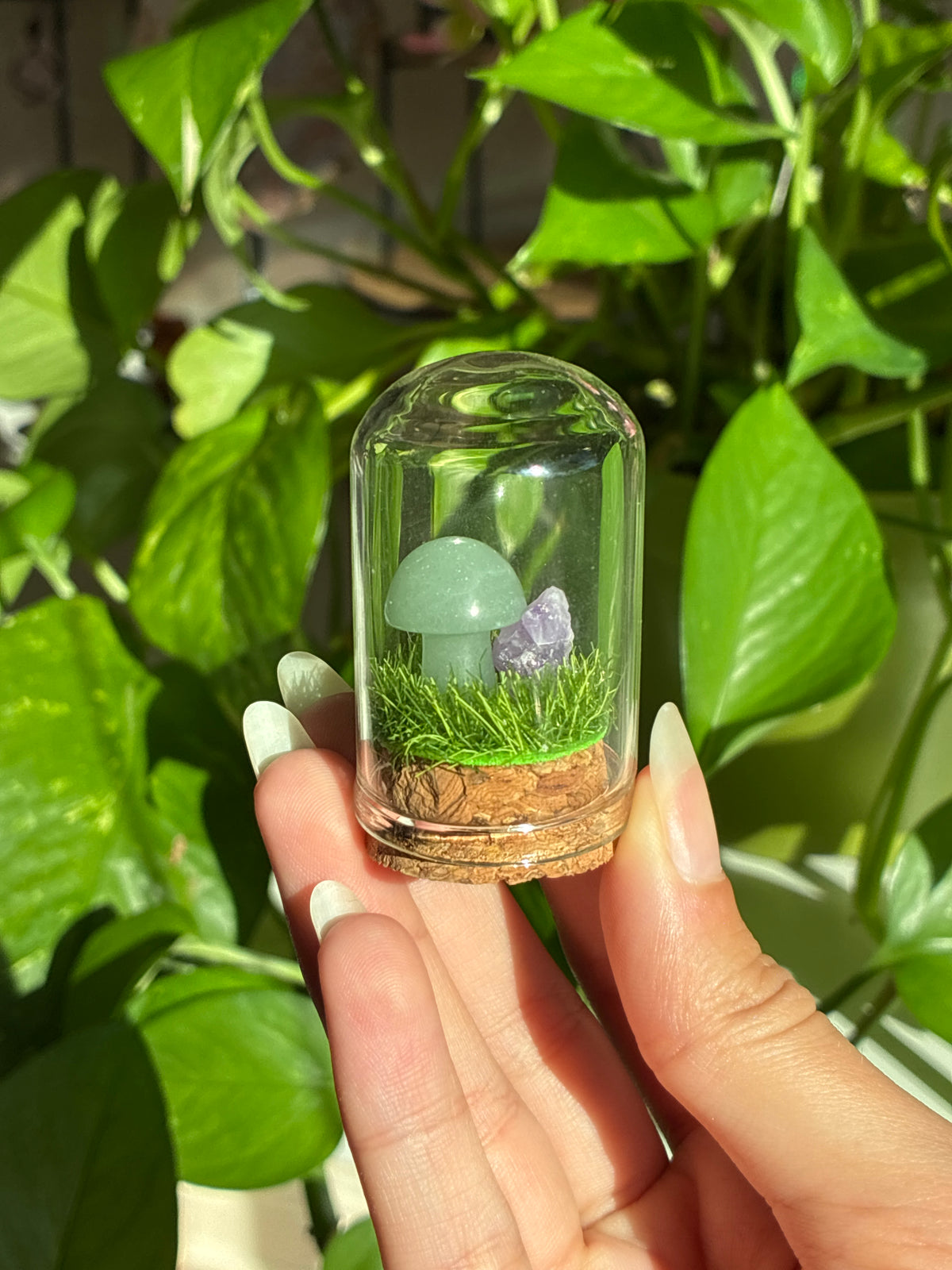 Green Aventurine Sodalite Mushroom & Raw Amethyst Mini ‘Lucky’ Terrarium