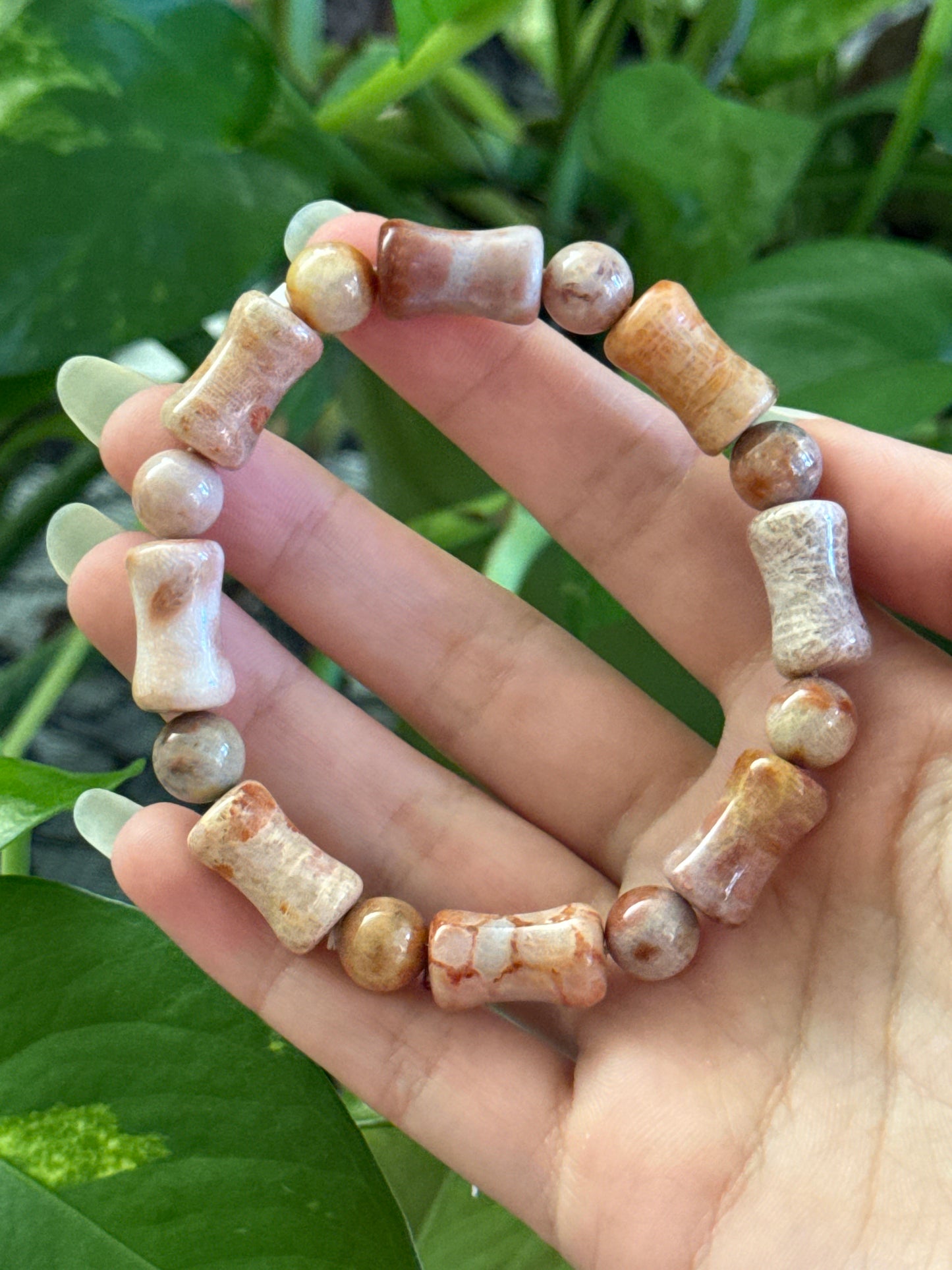 Fossilized Coral Bracelet
