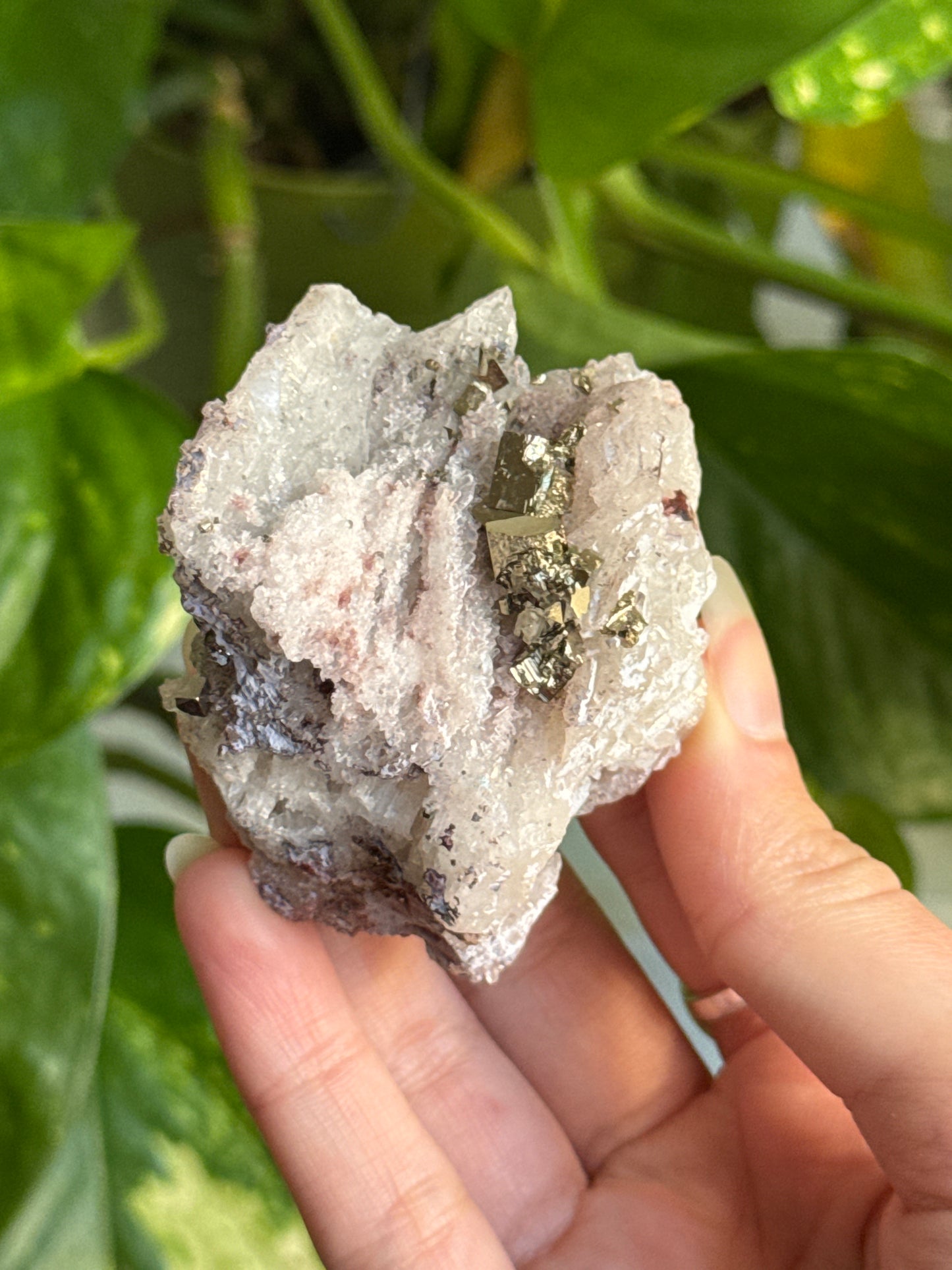 Cubic Pyrite on Quartz Specimen C