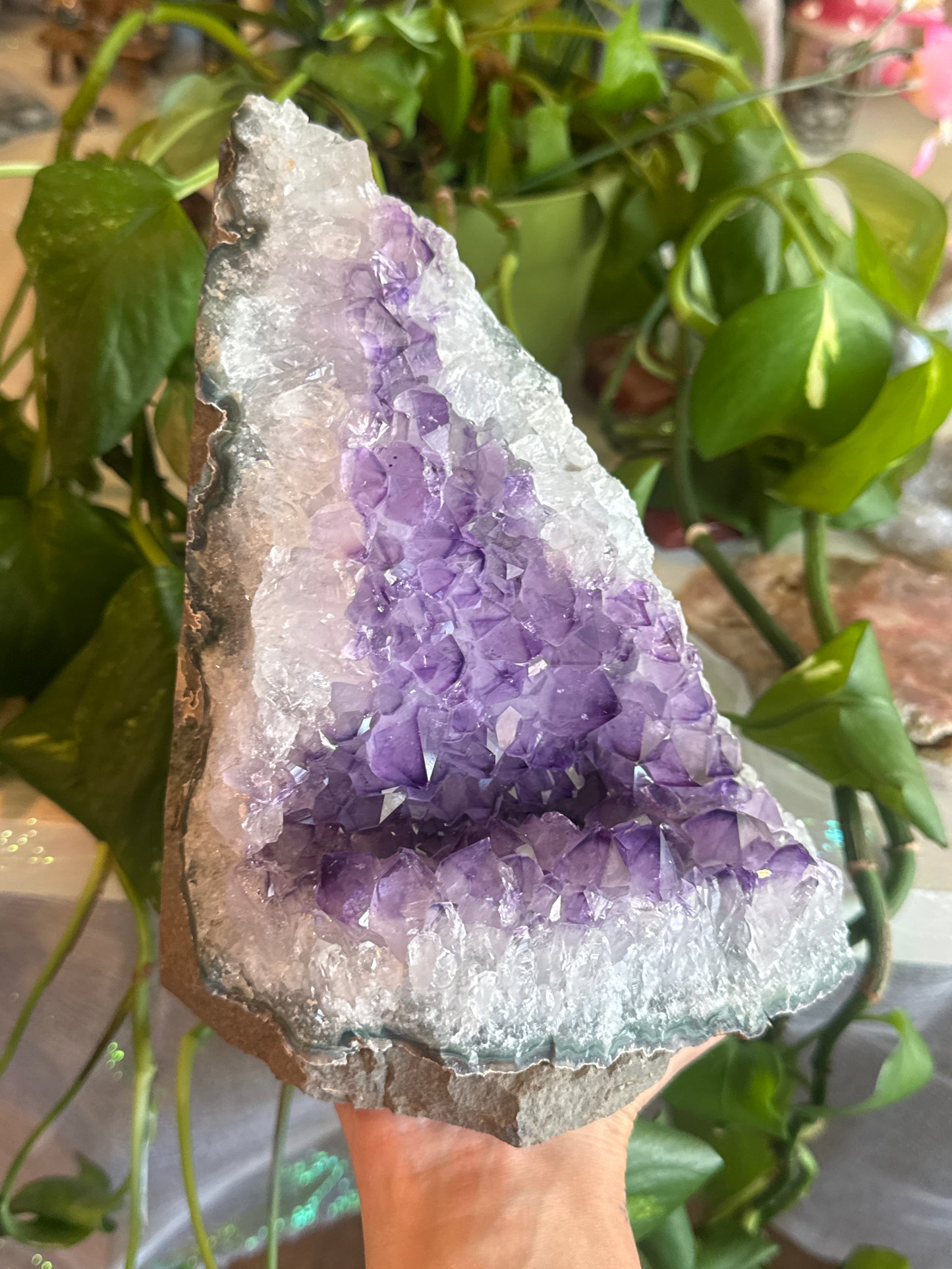 Statement Amethyst Cave Cluster