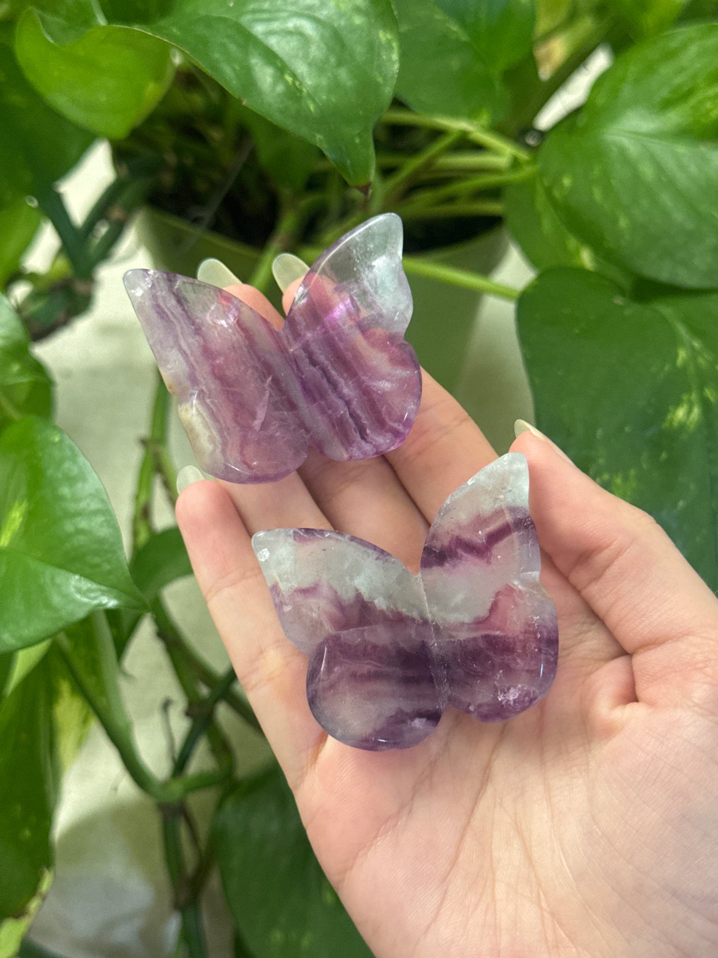 Watermelon Fluorite 3D Butterfly Carving