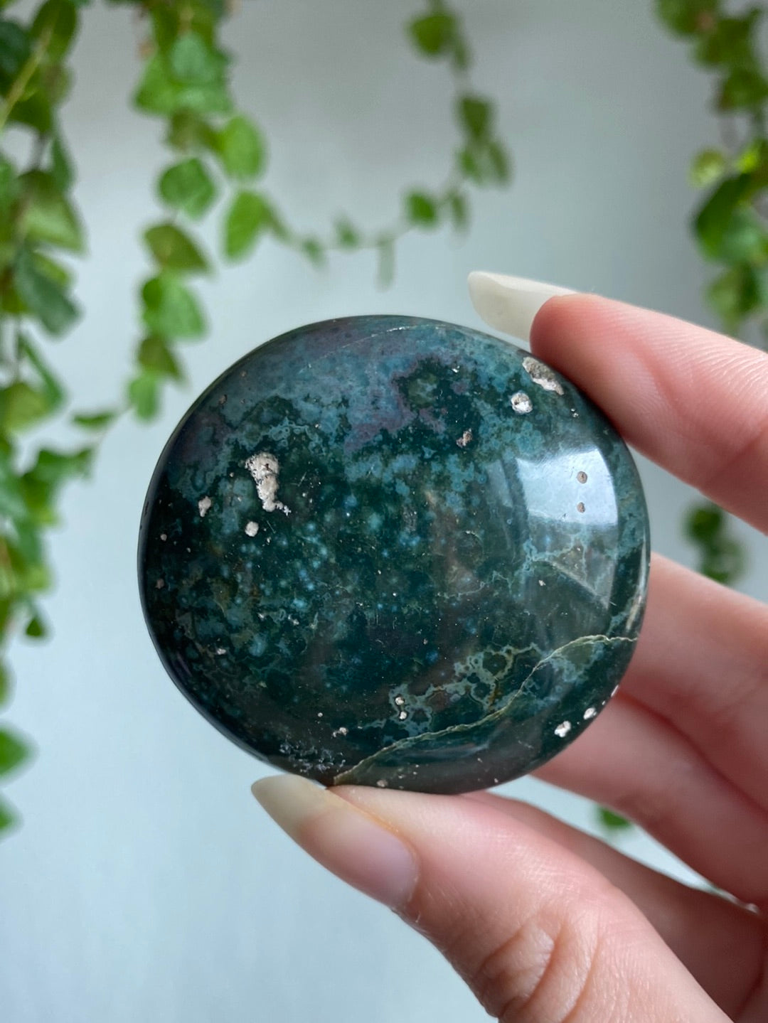 Ocean Jasper Palmstone