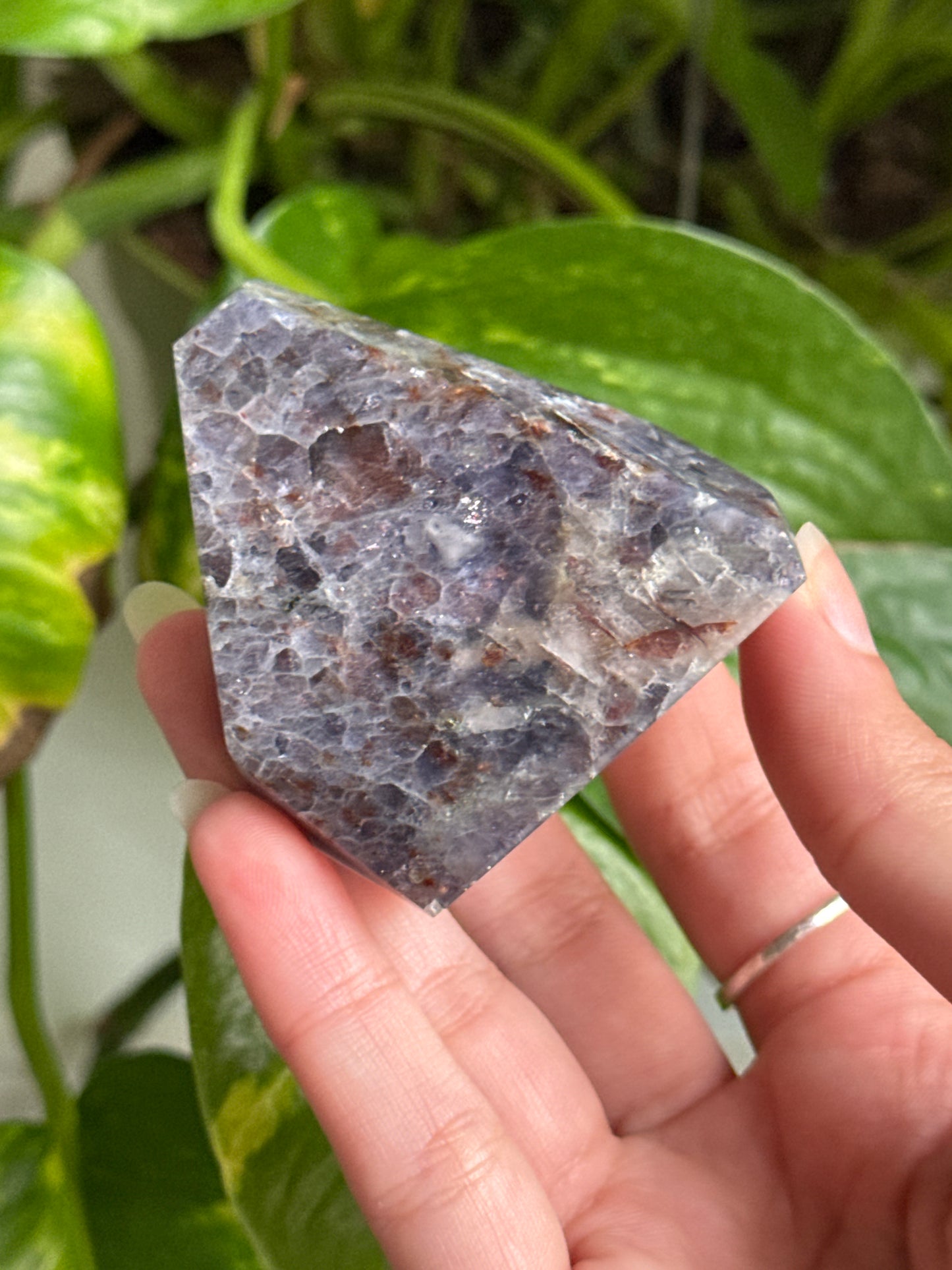 Sparkly Iolite Freeform B