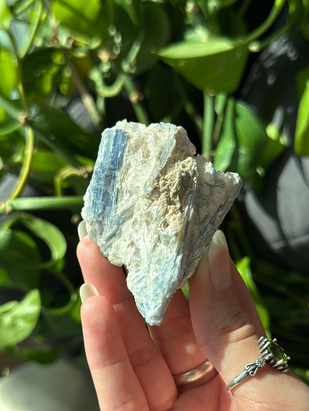 Kyanite & Quartz Specimen