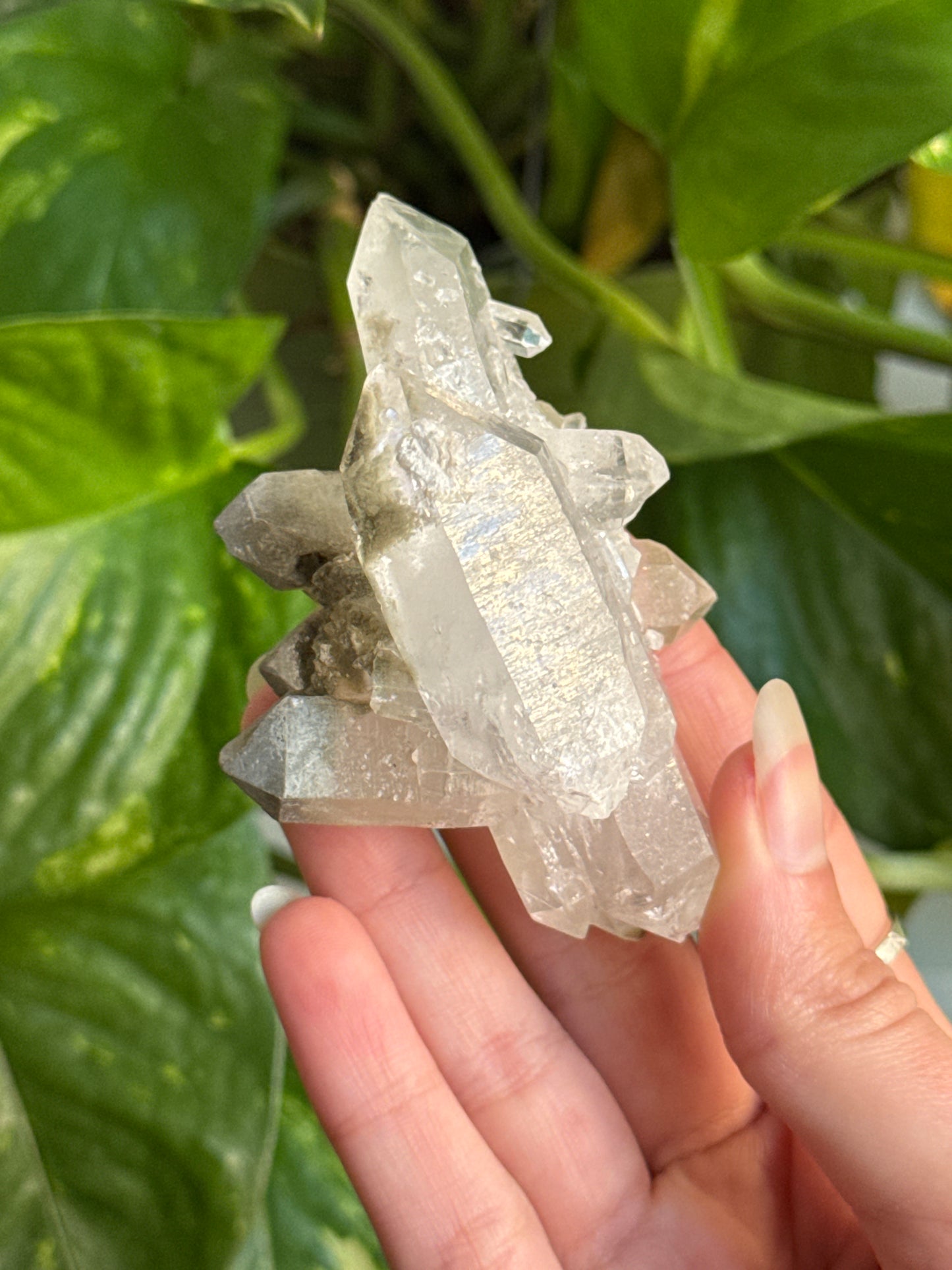 Garden Quartz Specimen