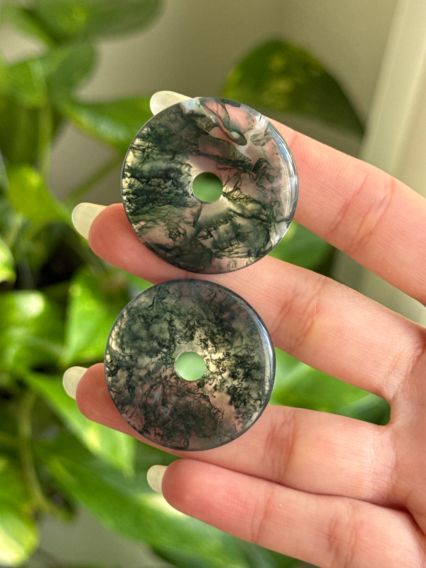 Clear Moss Agate Disk | Intuitively Picked