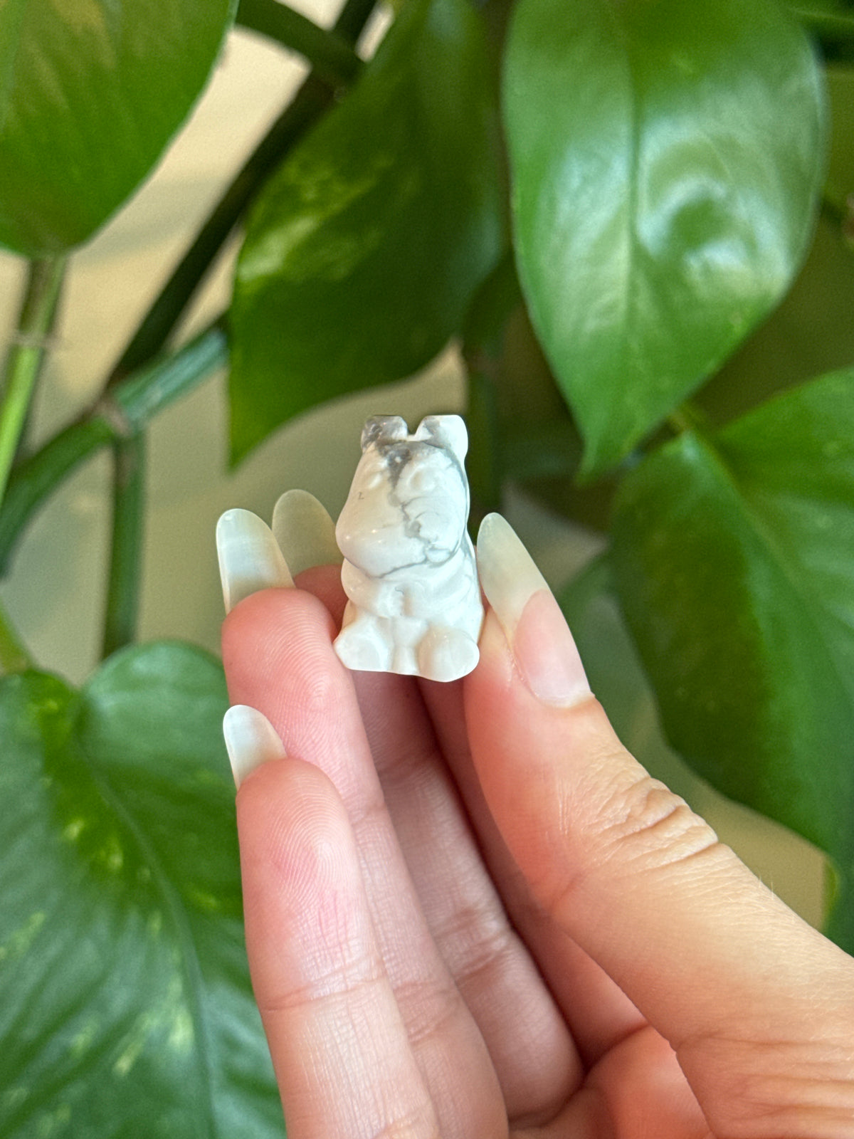 Howlite Moomin