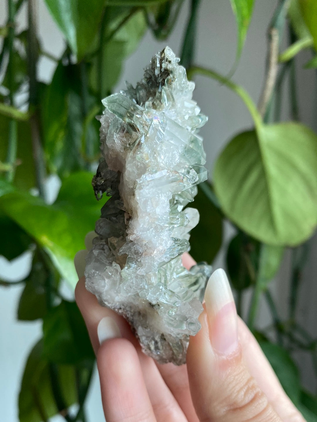 Himalayan High Altitude Quartz