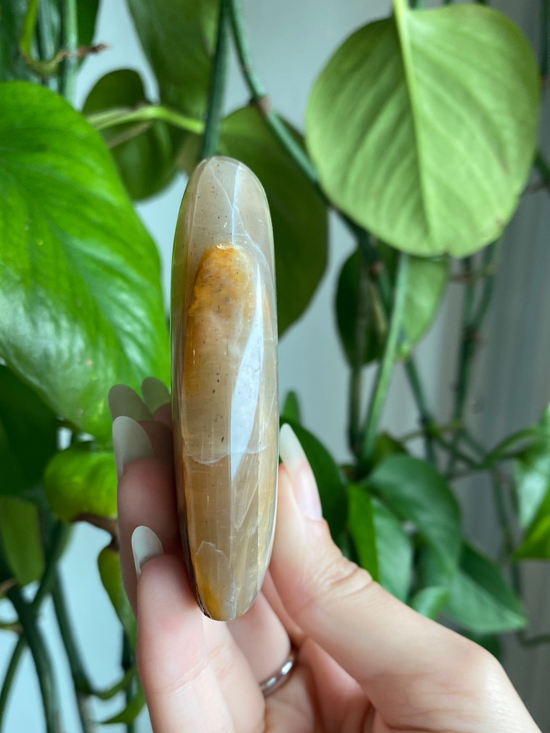 Black Moonstone Freeform A