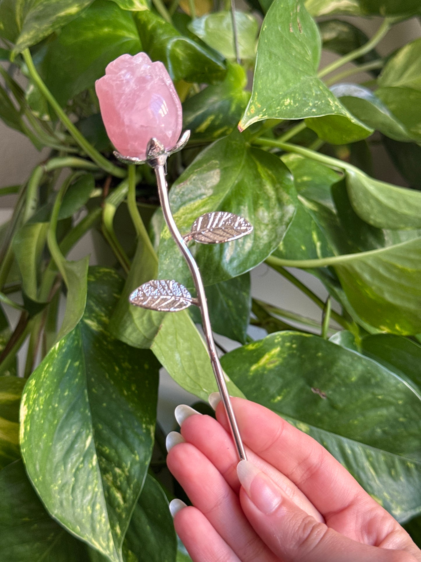 Rose Carving | You Pick