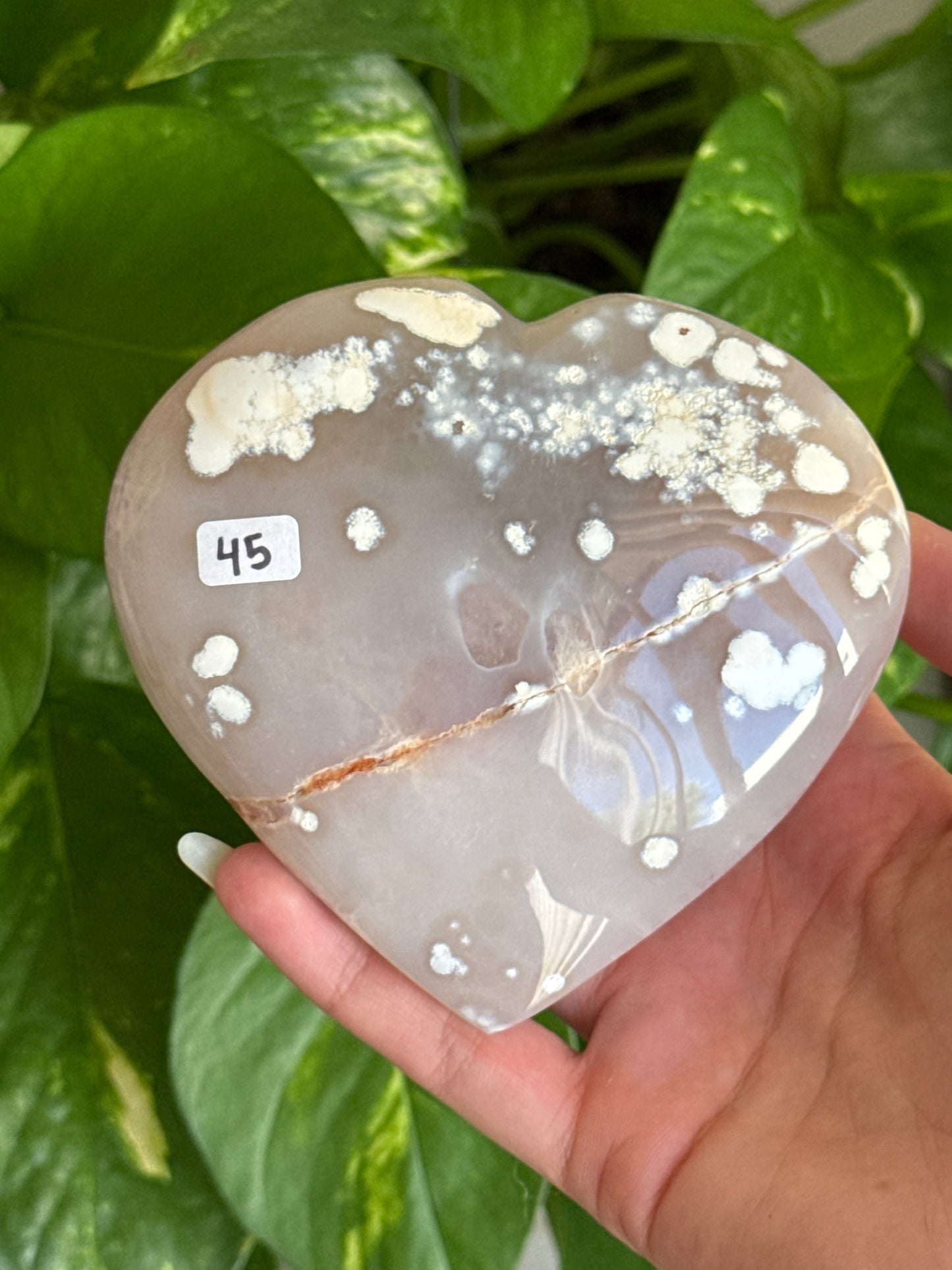 Orca Agate & Amethyst Druzy Heart