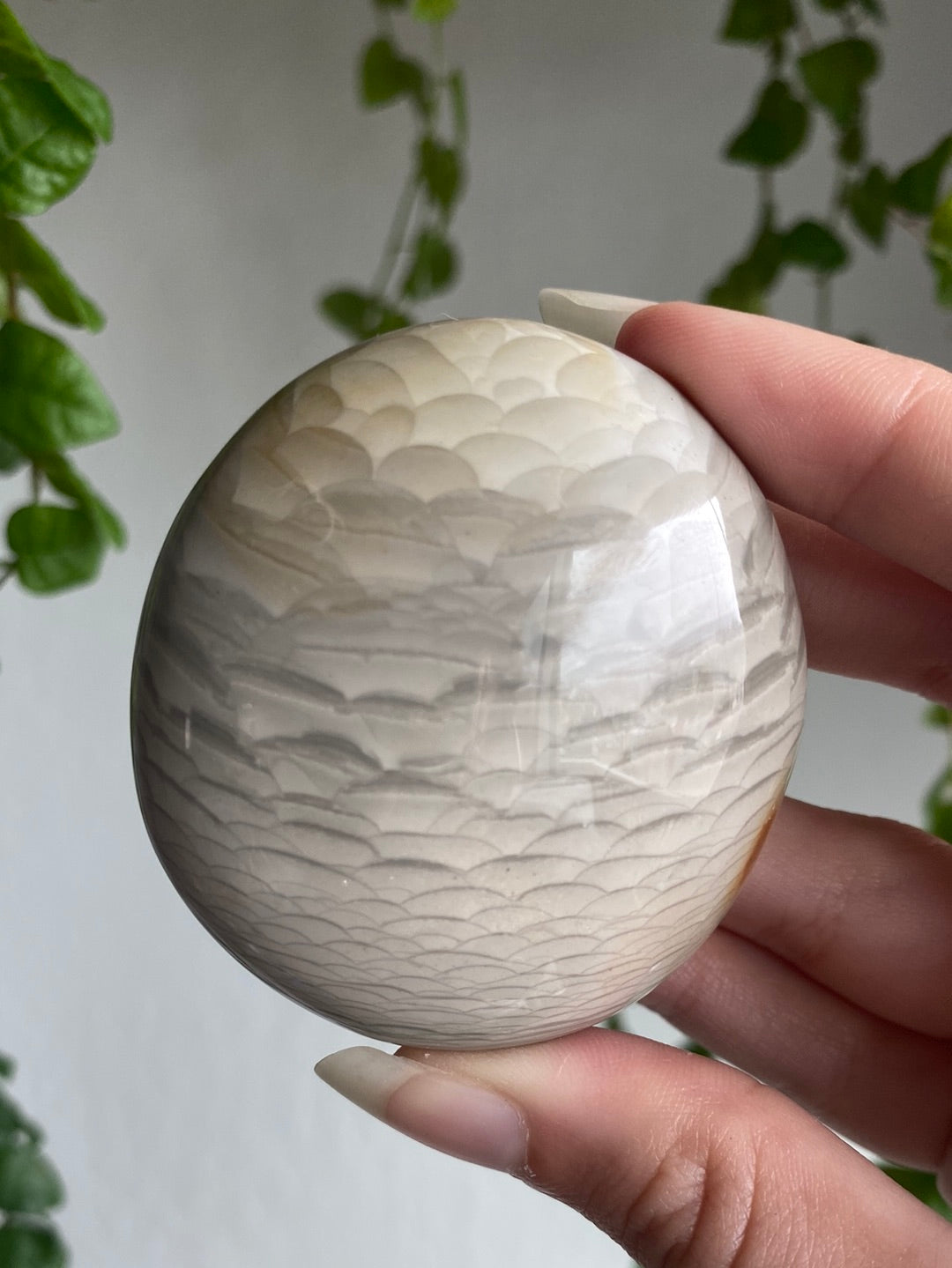 Feathered Agate Palmstone