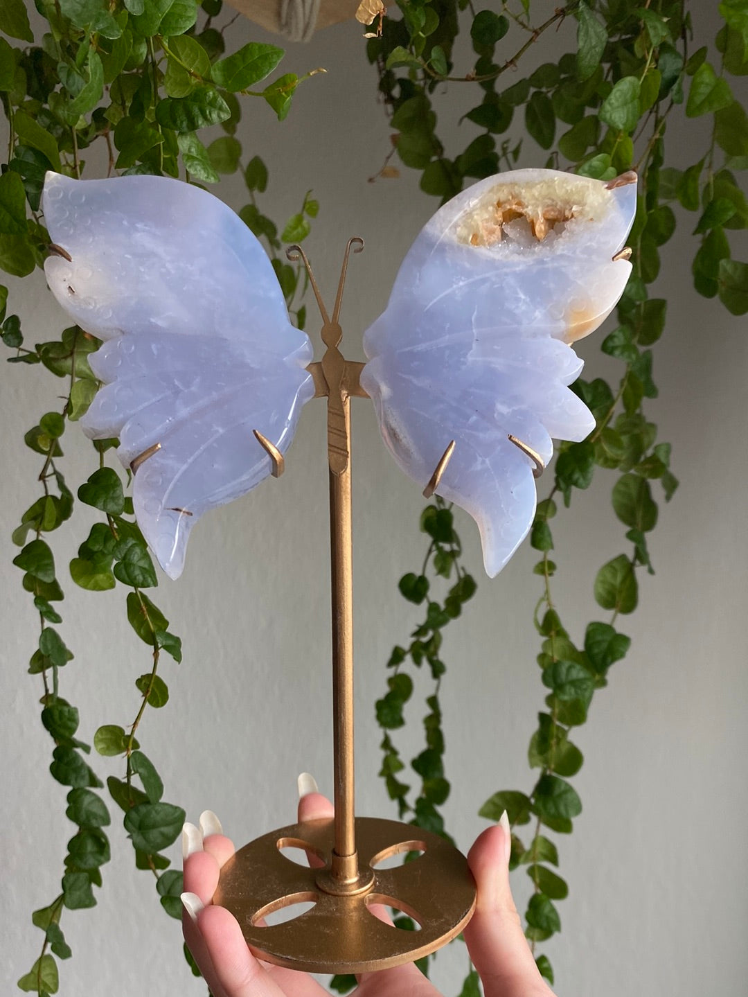 Druzy Blue Chalcedony Butterfly Stand