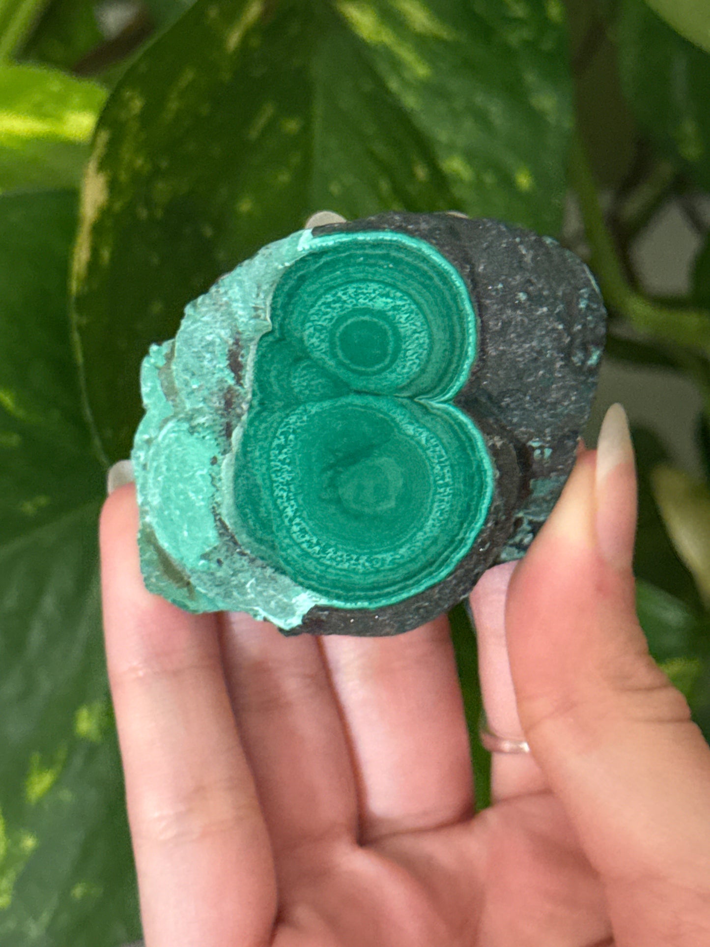 Malachite & Chrysocolla Unique Slabs | You Pick