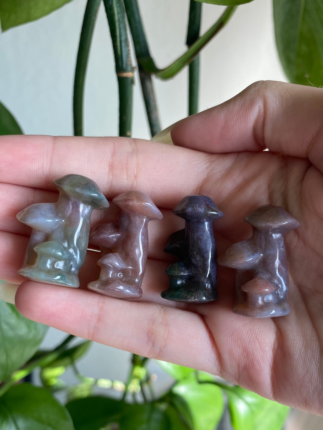 Ocean Jasper Mushroom