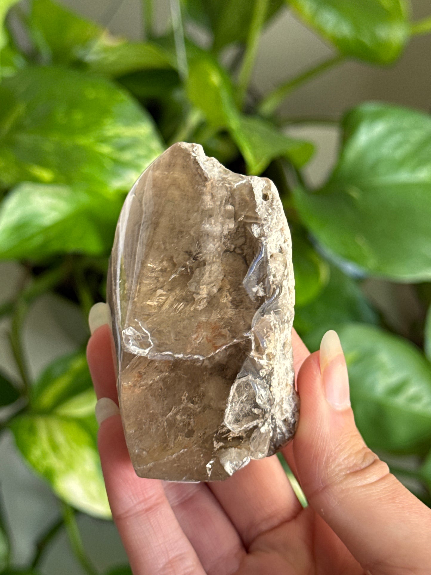 Smoky Garden Quartz Half Polished Freeform