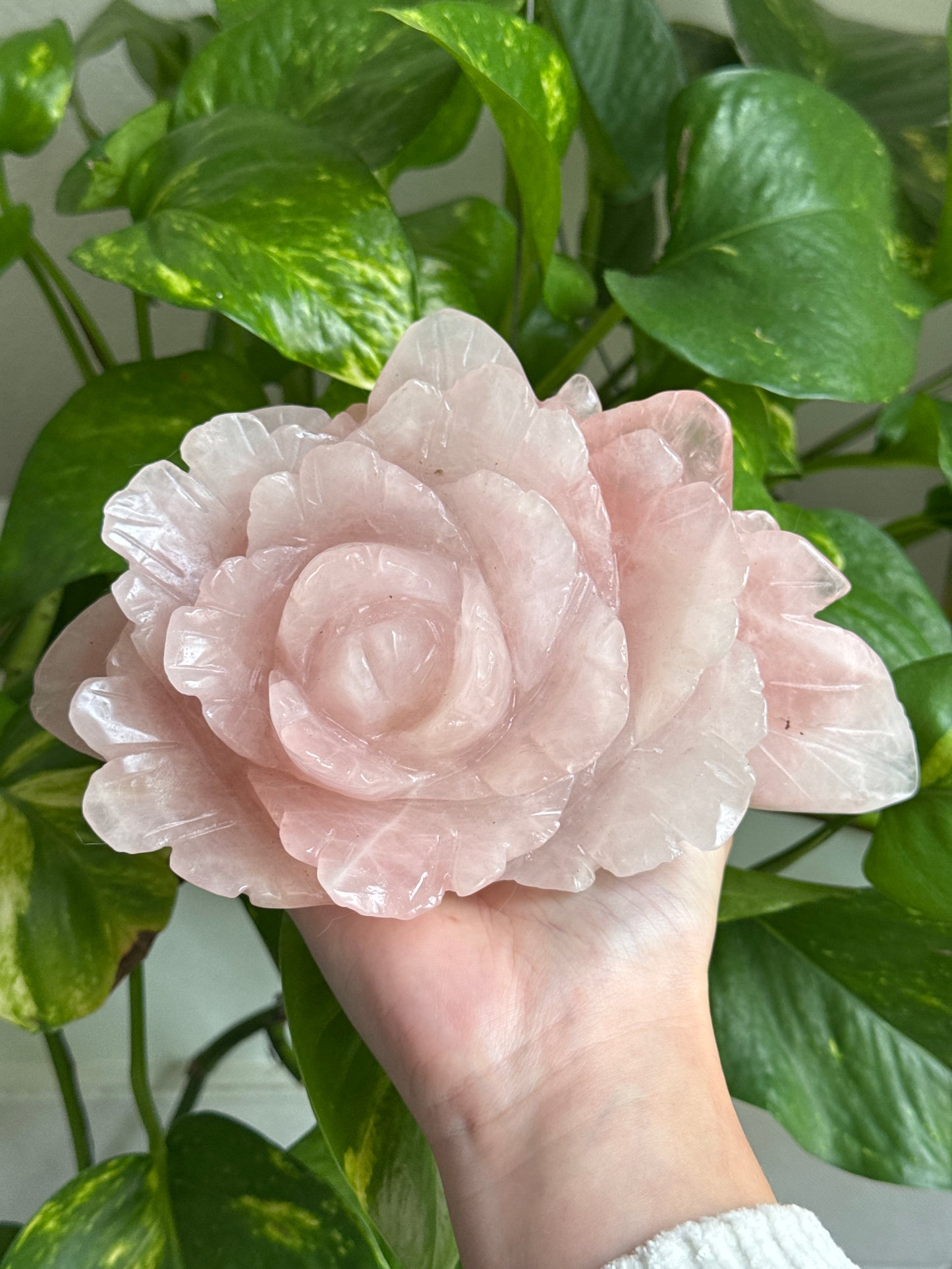 XL Rose Quartz Rose B