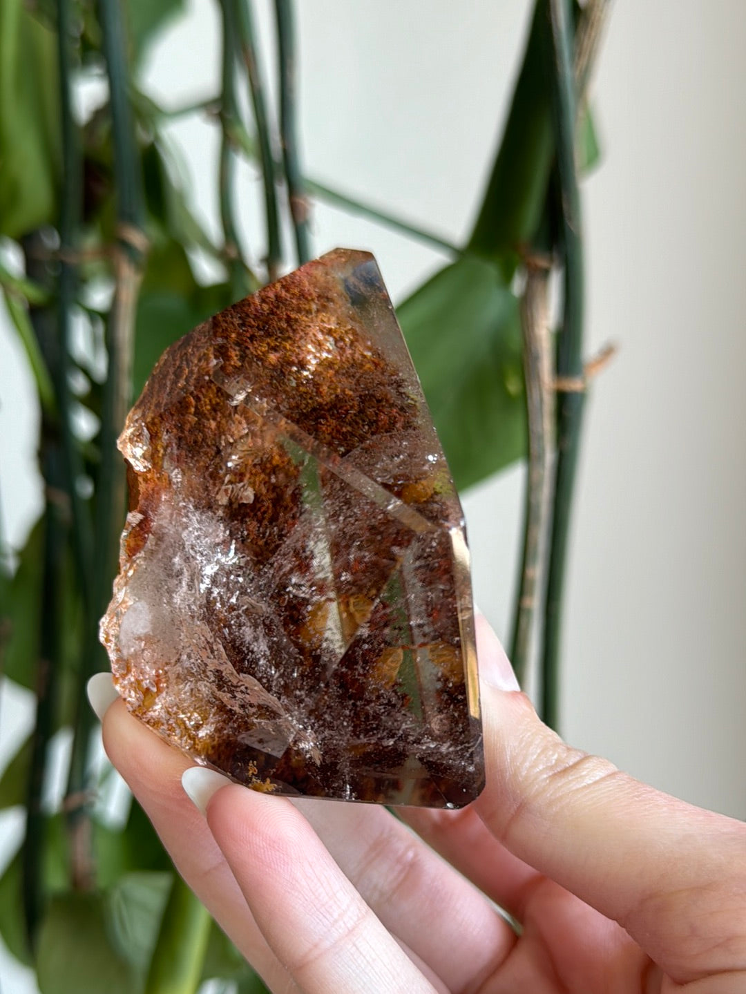 High Quality Garden Quartz Freeform