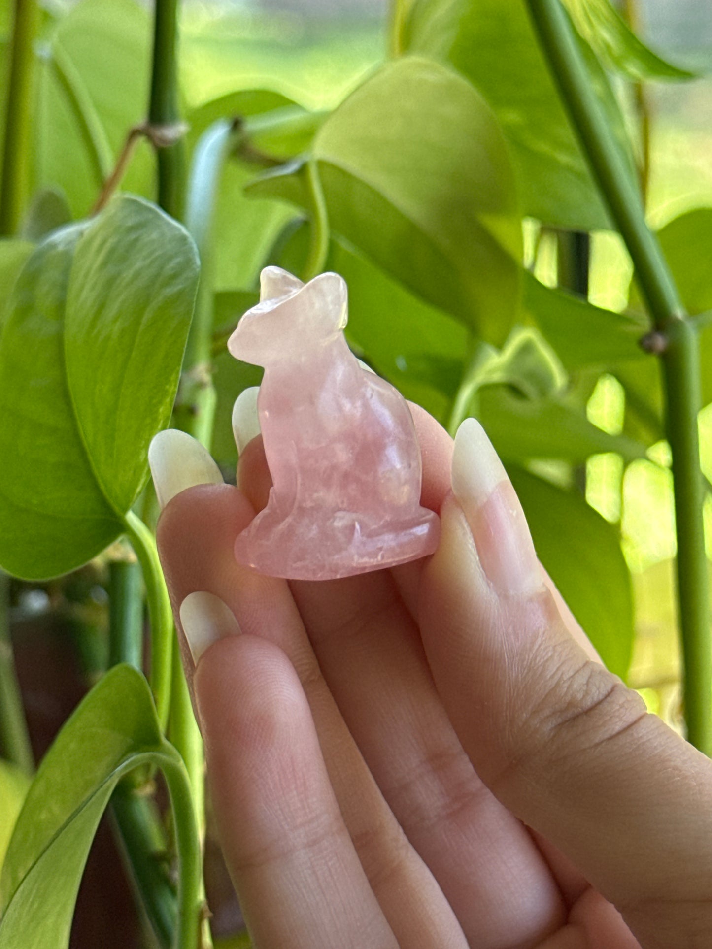 Cat Carving | You Pick Material