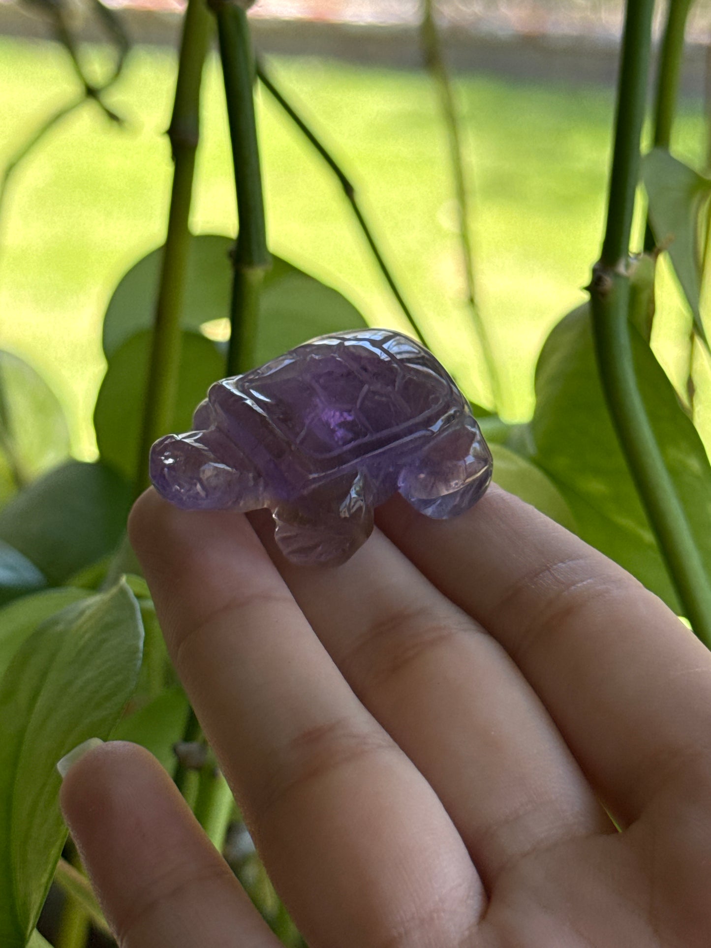 Ametrine Turtle