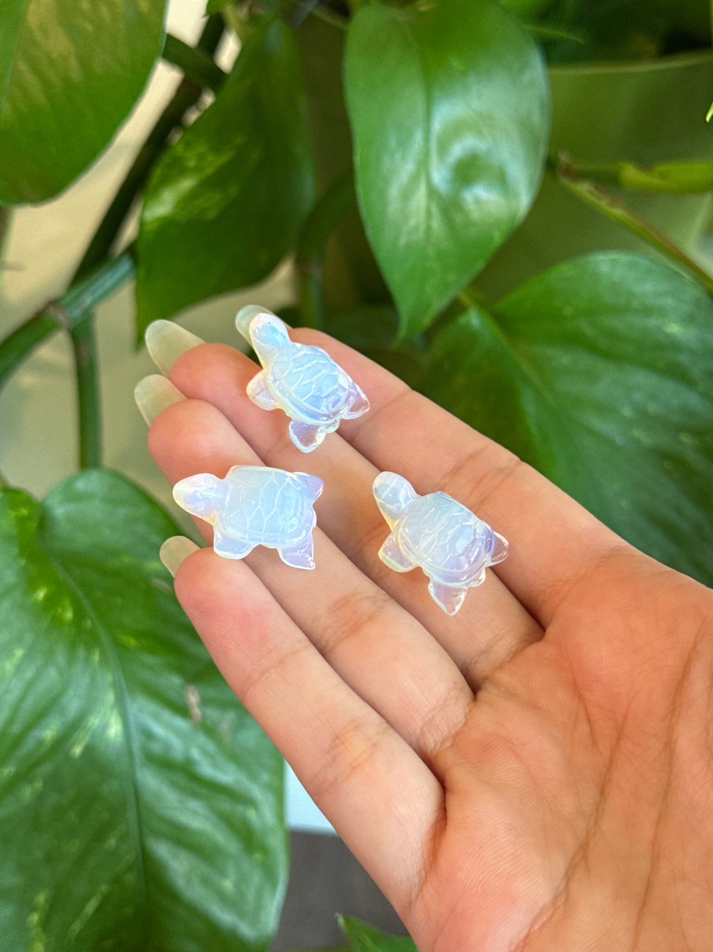 Opalite Mini Turtle