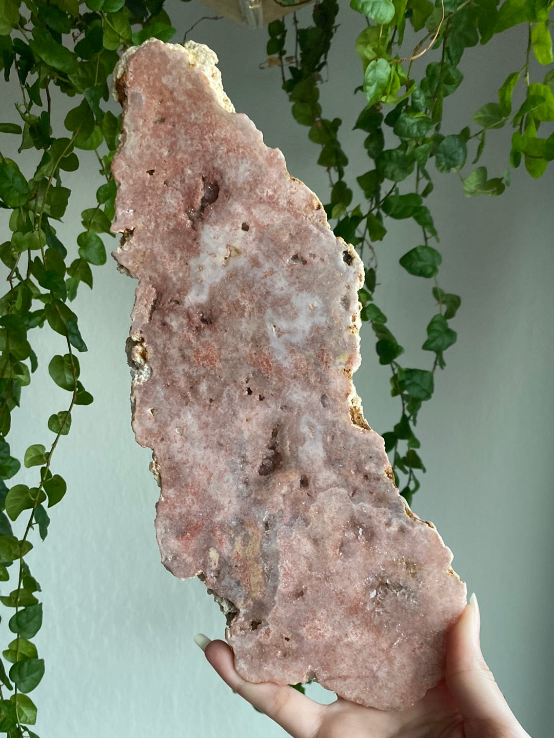 XL Pink Amethyst Slab (12” & 2lbs)