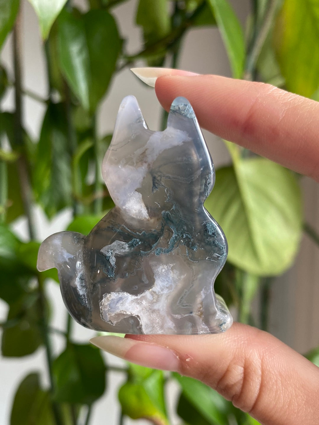 Moss Agate Kitty