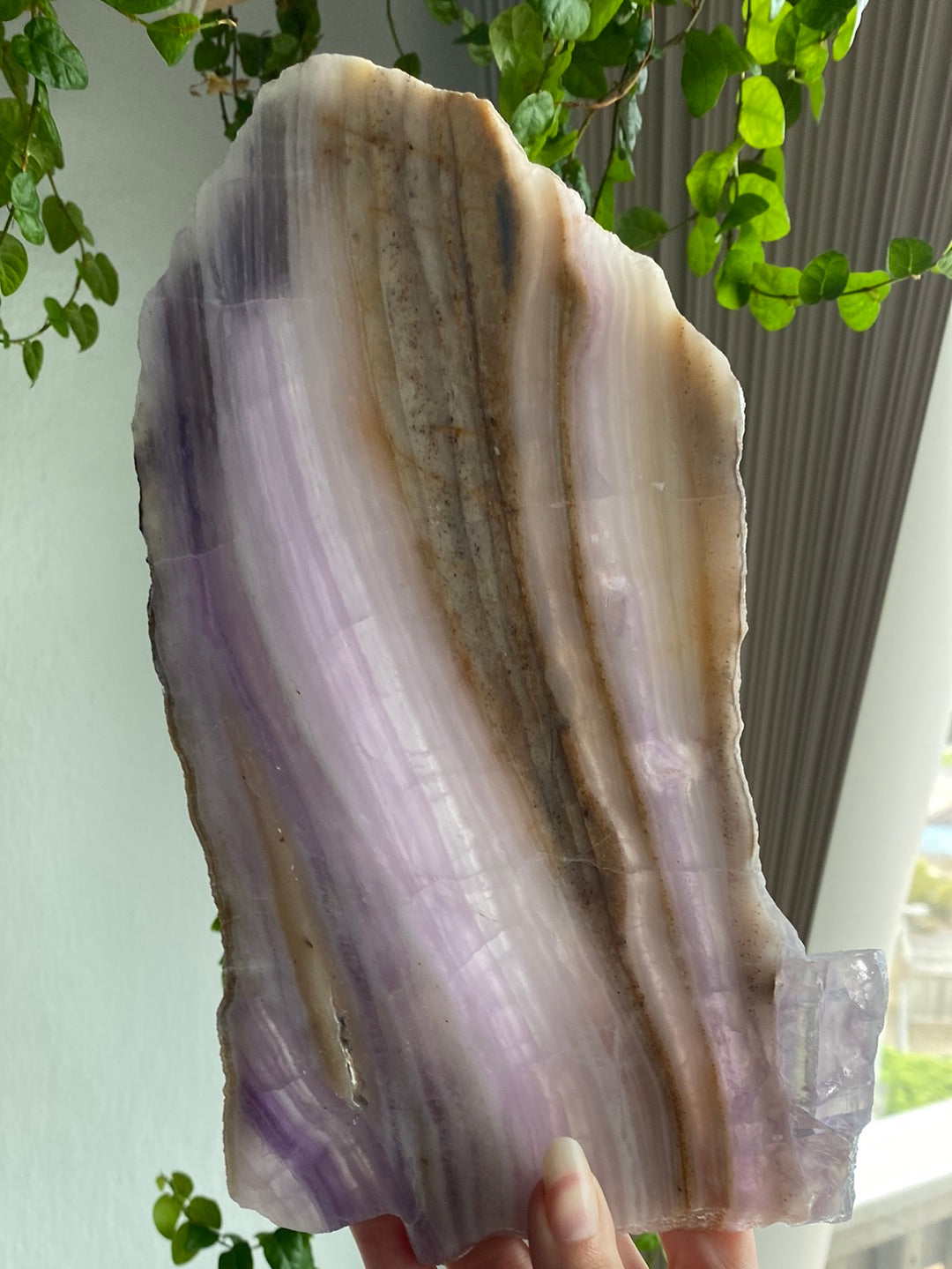 Huge Silk Fluorite Slab (10” & 1.8lbs)